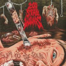 images/productimages/small/200-stab-wounds-slave-to-the-scalpel-vinyl.jpg