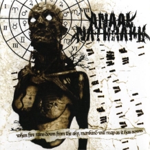 images/productimages/small/anaal-nathrakh-when-fire-rains-down-vinyl.jpeg