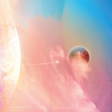 images/productimages/small/astronoid-radiant-bloom-vinyl.jpg