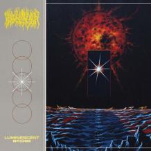 images/productimages/small/blood-incantation-luminescent-bridge-vinyl.jpg