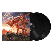 images/productimages/small/cattle-decapitation-terrasite-black-vinyl.png