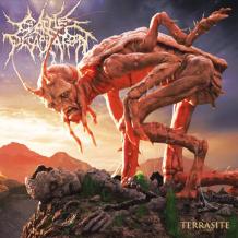 images/productimages/small/cattle-decapitation-terrasite-vinyl.jpg