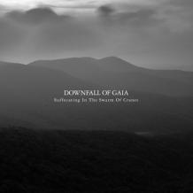 images/productimages/small/downfall-of-gaia-suffocating-in-the-swarm-of-cranes-vinyl.jpg