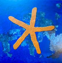images/productimages/small/fish-13th-star-vinyl-boxset.jpg
