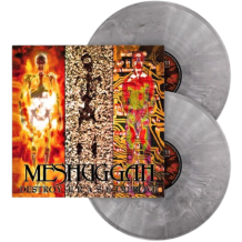 Destroy Erase Improve 2LP - 30th Anniversary Edition (gray, black & white marble vinyl)