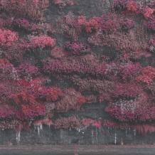 images/productimages/small/sleep-token-even-in-arcadia-vinyl.jpg