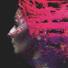 images/productimages/small/steven-wilson-hand-cannot-erase-vinyl.jpg