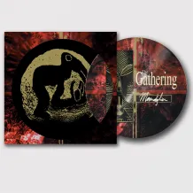 Mandylion (picture disc)