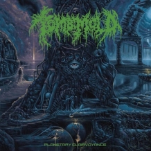 images/productimages/small/tomb-mold-planetary-vinyl.jpg