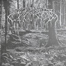 images/productimages/small/wolves-in-the-throne-room-2005-demo-vinyl.jpg
