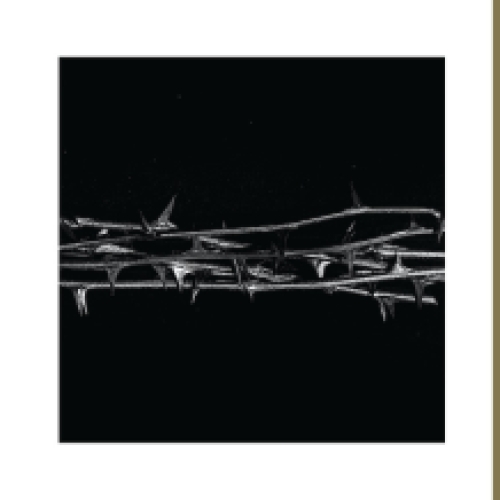 De Doorn 2LP - US import (gold vinyl)