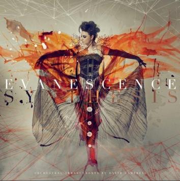Synthesis 2LP (black vinyl) + bonus cd