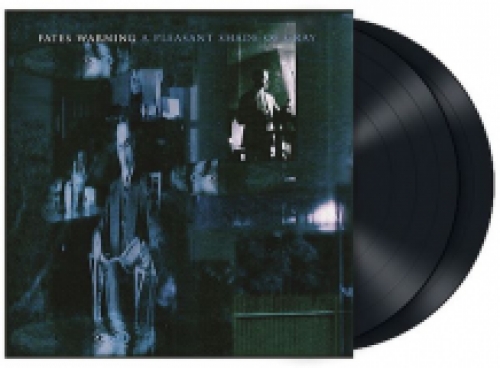 A Pleasant Shade of Gray 2LP (black vinyl)