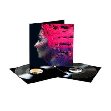 Hand Cannot Erase 2LP (black vinyl)