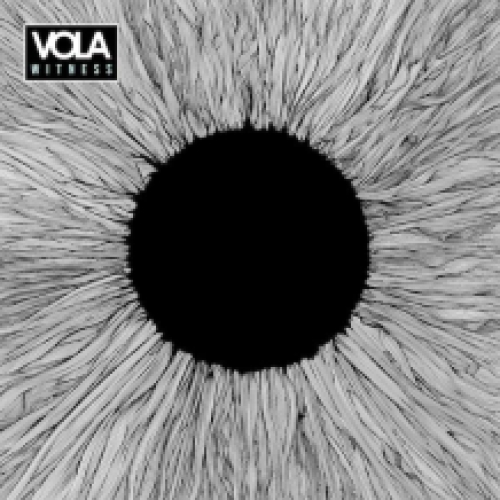 Witness (transparent & black smoke marble vinyl)