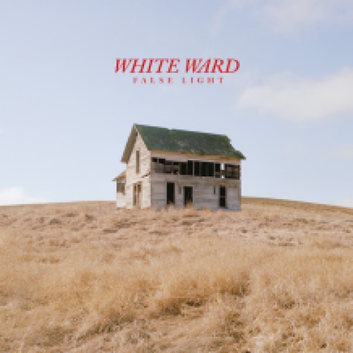 False Light 2LP (red vinyl)
